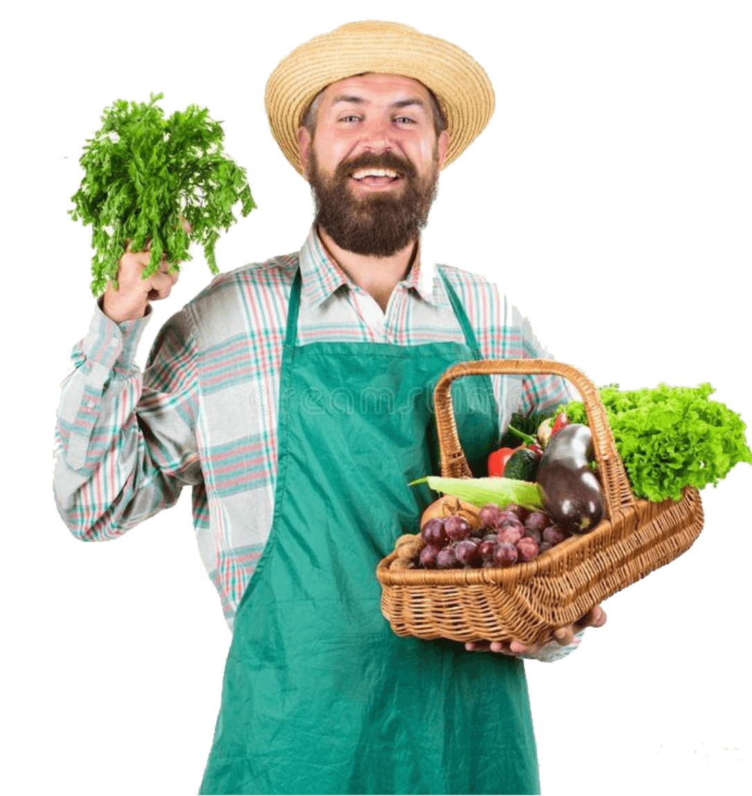 社区拼团零售生鲜应该怎么做