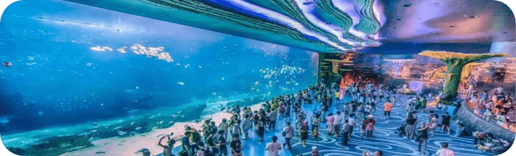 海洋馆